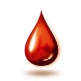 Zaproszenie na I Diecezjalną Pielgrzymkę Honorowych Dawców Krwi i ich Rodzin do Wambierzyc
