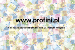 www.profini.pl