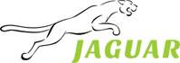 Jaguar - Międzynarodowy przewóz osób