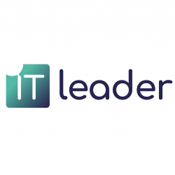 IT Leader