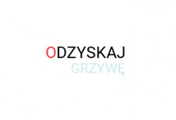 Przeszczepy Włosów Odzyskaj-grzywe.pl